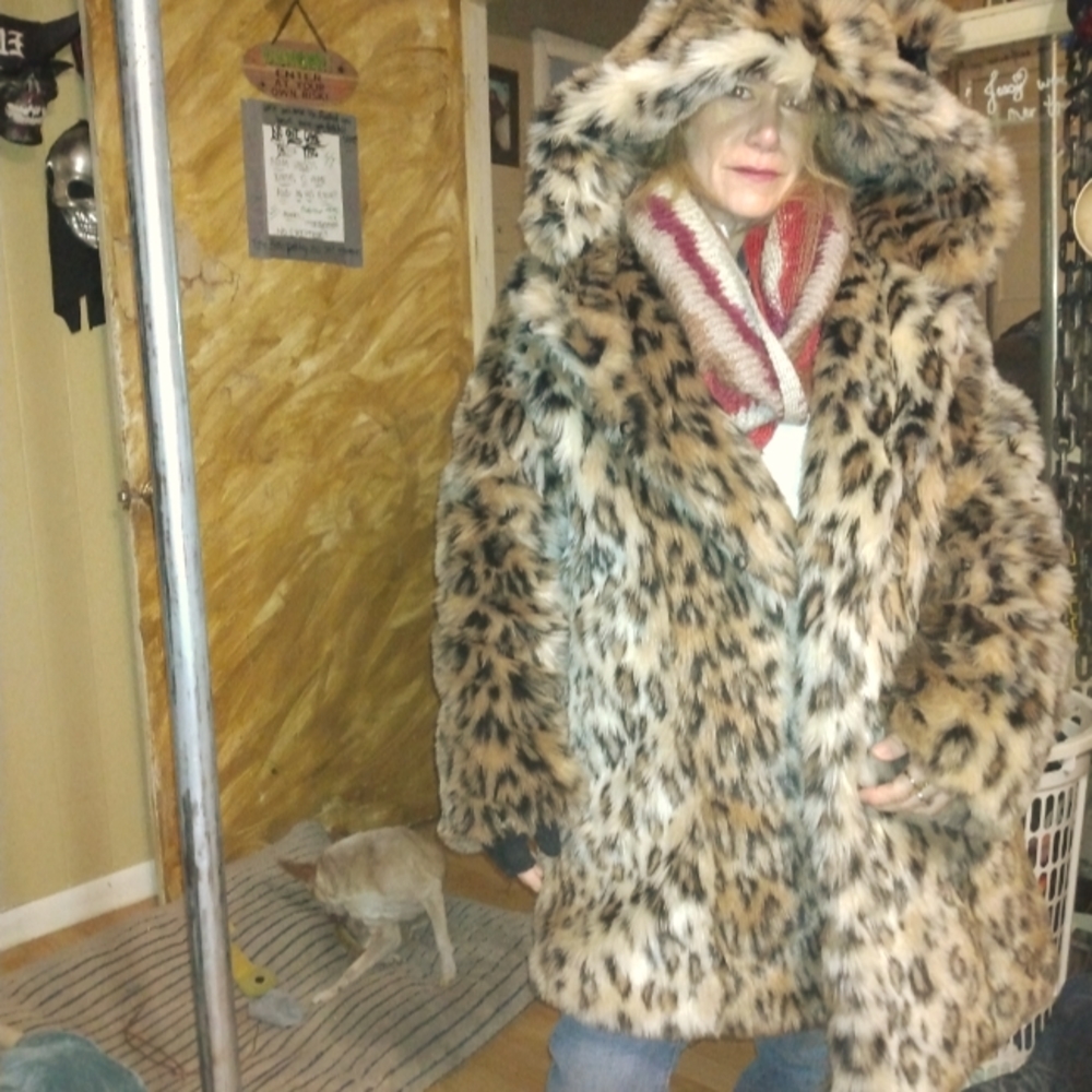 Spirithood coat leopard medium